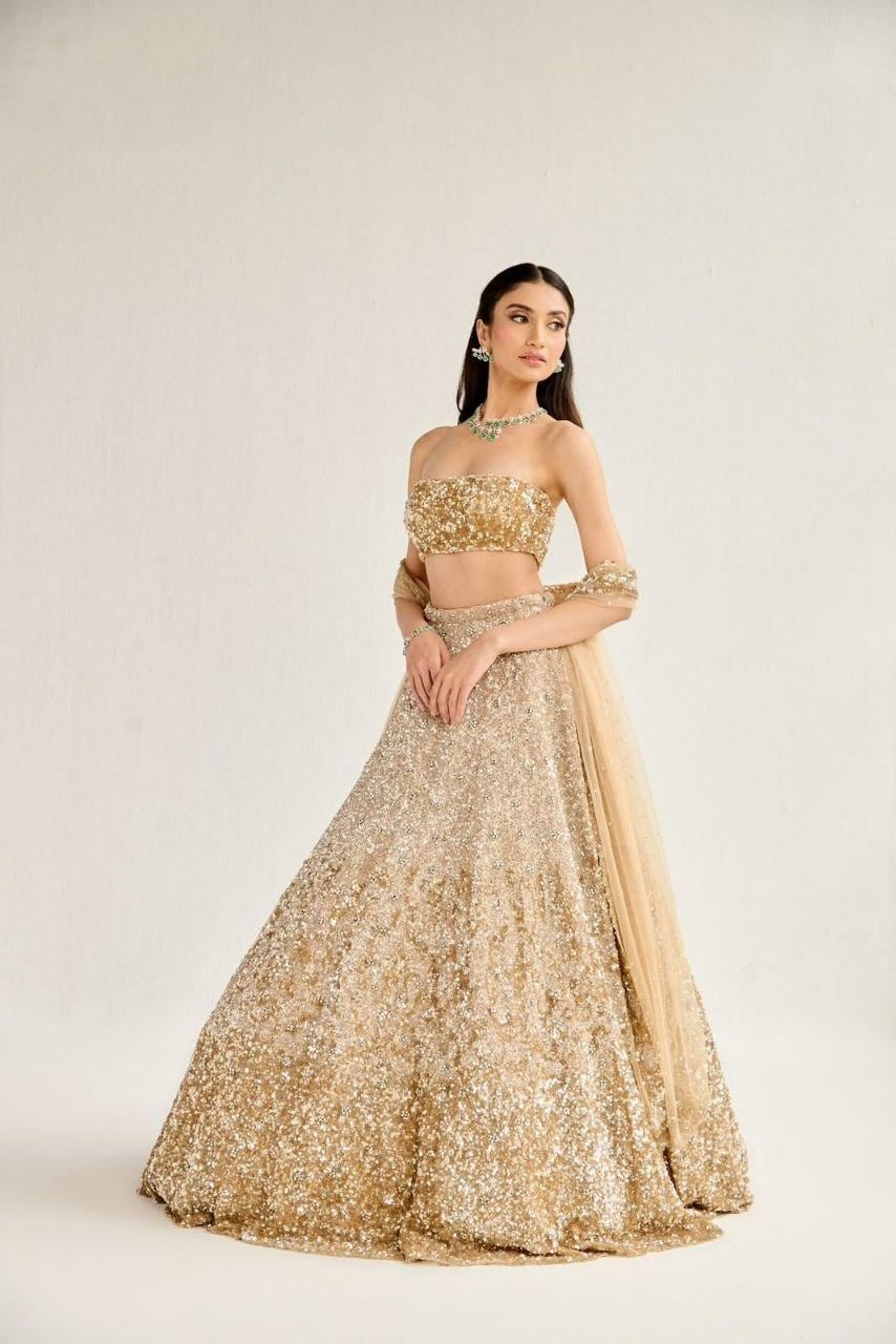 Butterfly Soft Net Lehenga Choli Set | Dual Sequin Embroidered Wedding Party Wear