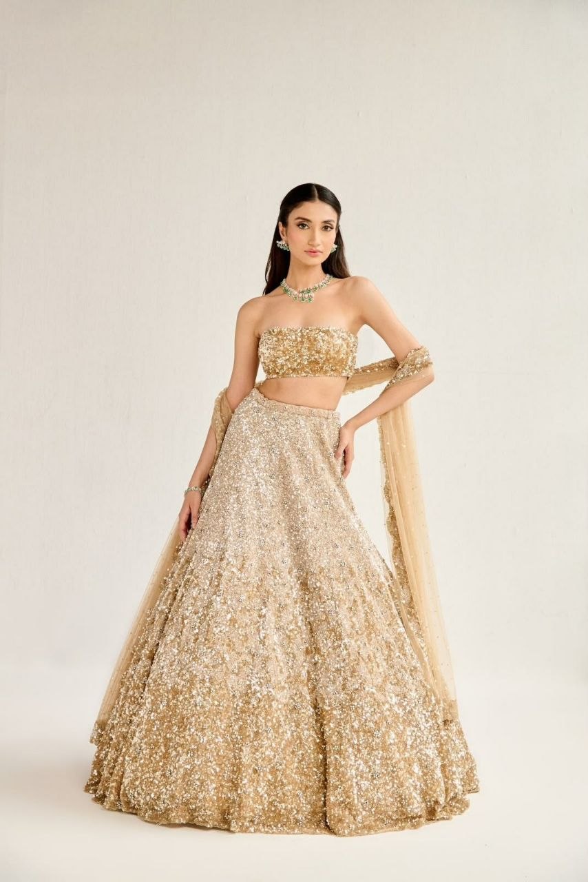 Butterfly Soft Net Lehenga Choli Set | Dual Sequin Embroidered Wedding Lehenga | Semi-Stitched Party Wear Lehenga with Matching Dupatta