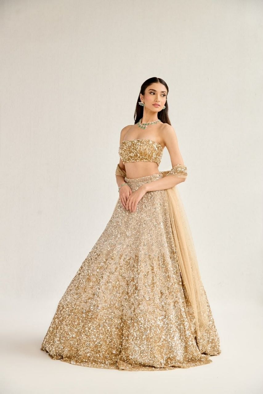Butterfly Soft Net Lehenga Choli Set | Dual Sequin Embroidered Wedding Lehenga | Semi-Stitched Party Wear Lehenga with Matching Dupatta