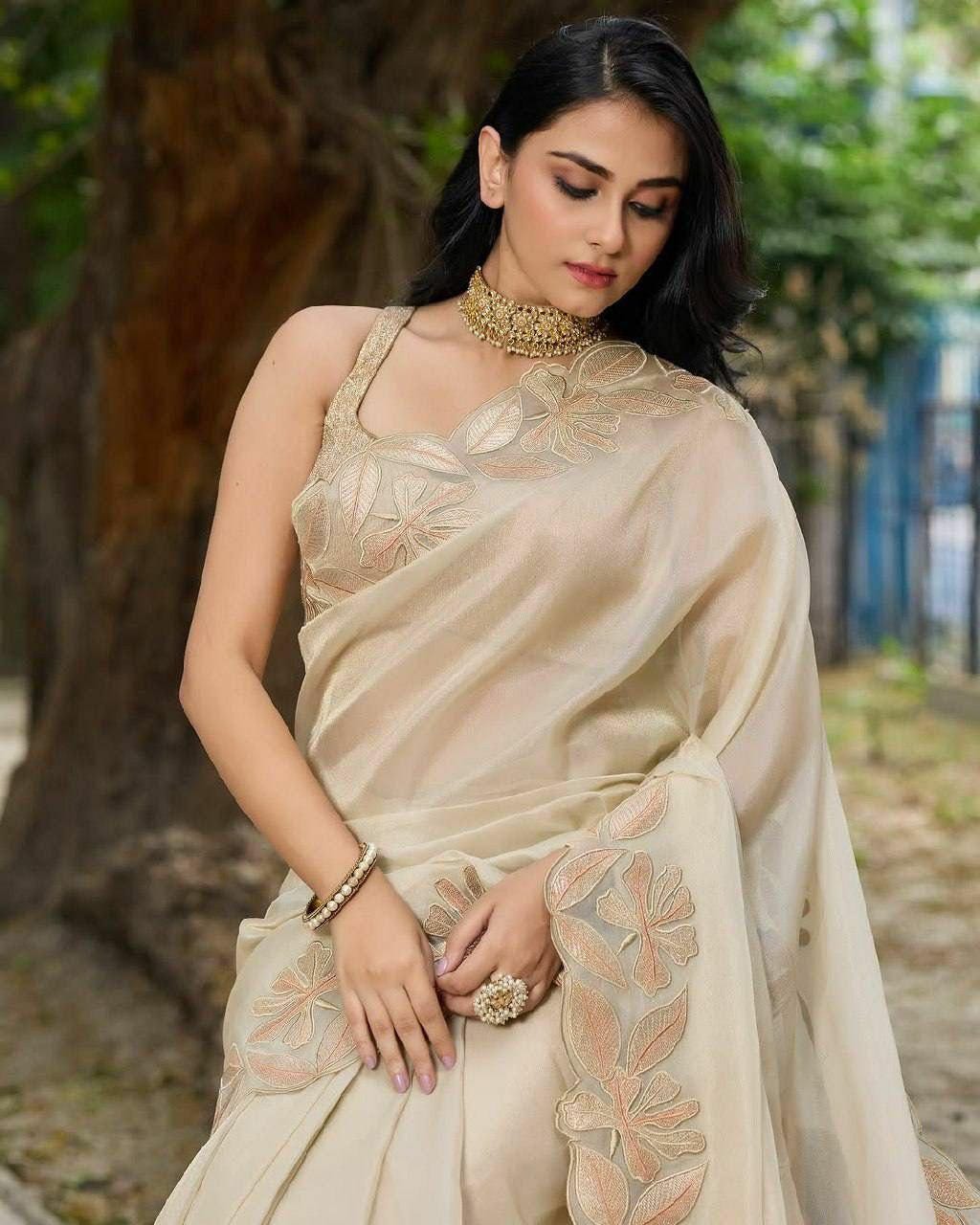 Pure Organza Silk Saree | Sequin Embroidery, Arco Cut Border, Banglory Silk Blouse
