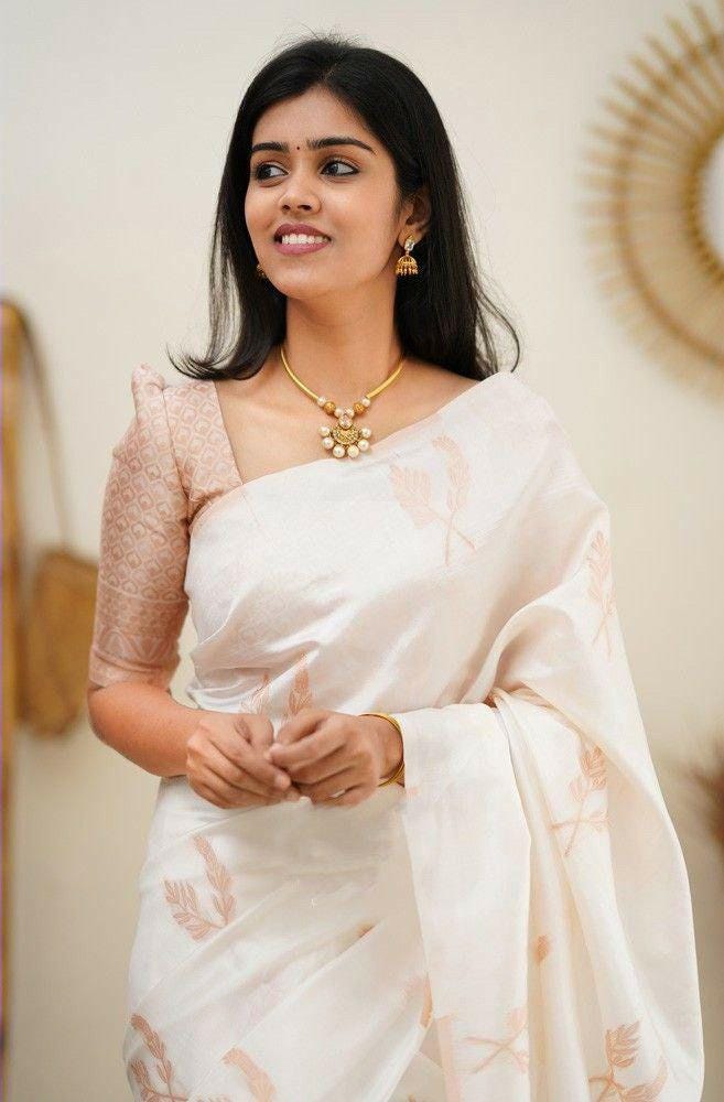 Banarasi Soft Silk Saree, Jacquard Border Blouse, Traditional Indian Wedding Wear