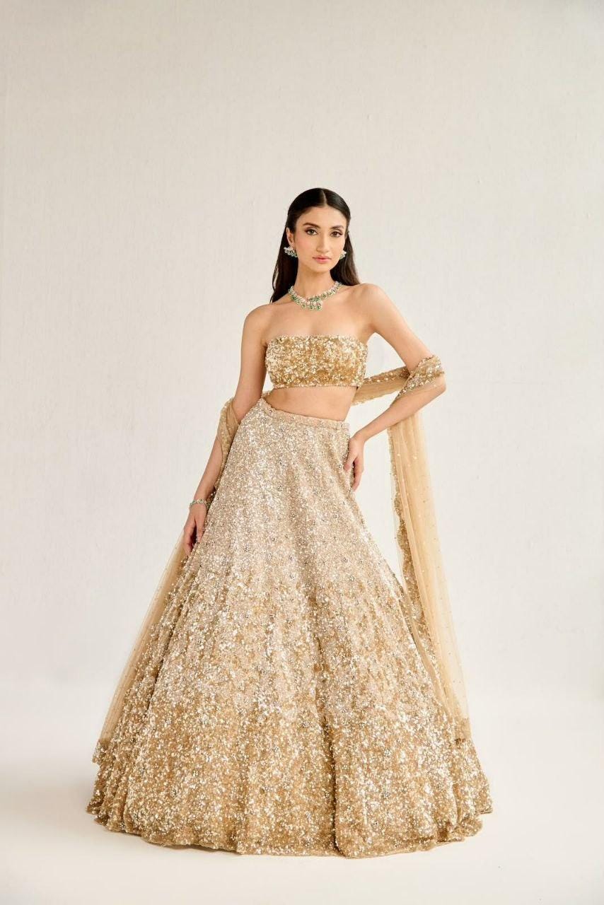 Butterfly Soft Net Lehenga Choli Set | Dual Sequin Embroidered Wedding Party Wear