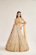 Butterfly Soft Net Lehenga Choli Set | Dual Sequin Embroidered Wedding Party Wear