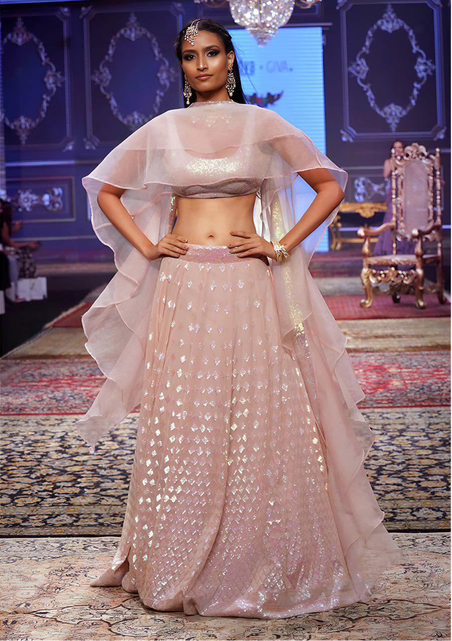 Blush Pink Sequin Embroidered Lehenga Choli Set | Organza Ruffle Dupatta, Wedding Wear