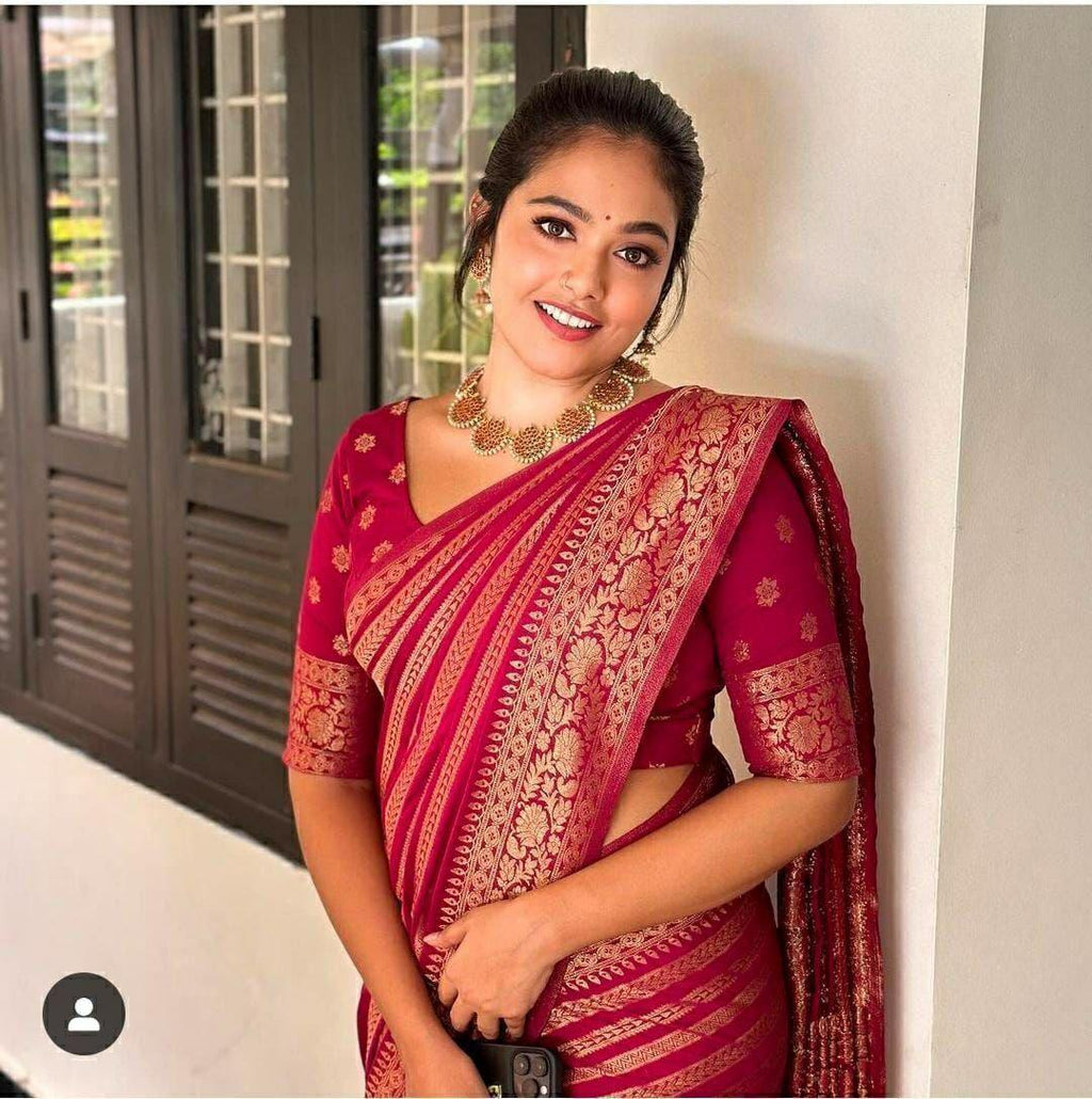Banarasi Soft Silk Saree, Jacquard Border Blouse, Traditional Indian Wedding Wear