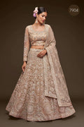 Champagne Beige Net Lehenga Choli, Zari Glitter Dori Embroidery, Semi-Stitched Wedding Set