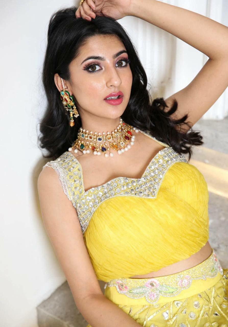 Georgette Lehenga Choli Set, Zari Foil Work, Ruffle Border, Indian Wedding Outfit