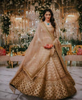 Antique Gold Slub Silk Lehenga Choli, Zari Dori Sequins Embroidery, Bridal Wedding Net Dupatta