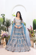 Butterfly Net Lehenga Choli Set, Sequins Jari Embroidery, Bridal Wedding Party Wear
