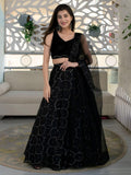 Black Organza Lehenga Choli, Velvet Blouse, Sequins Embroidery Wedding Outfit